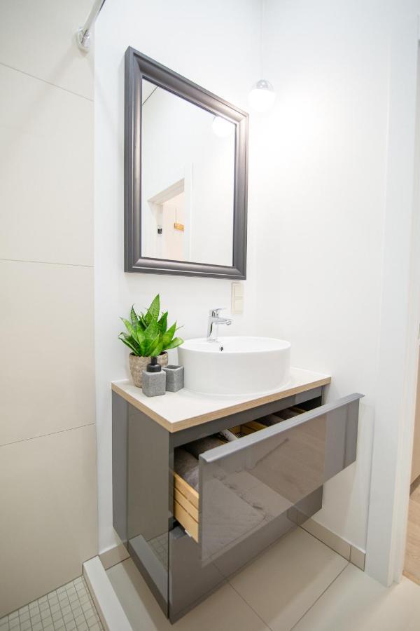 Apartment Lukiskes Square Vilnius